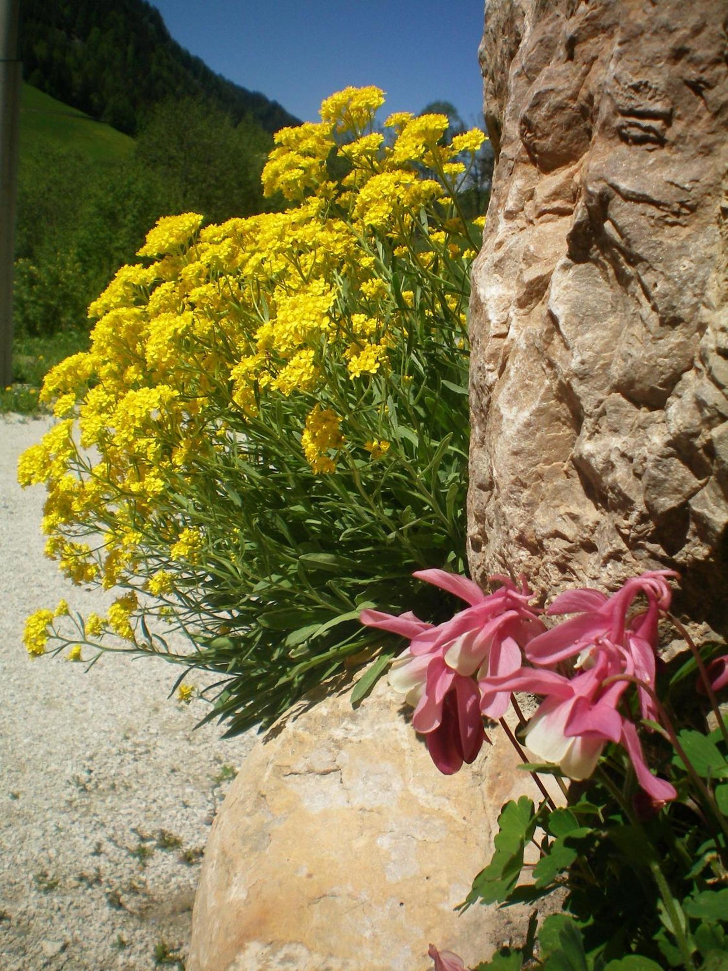 Villa Otto Santa Cristina Val Gardena ภายนอก รูปภาพ