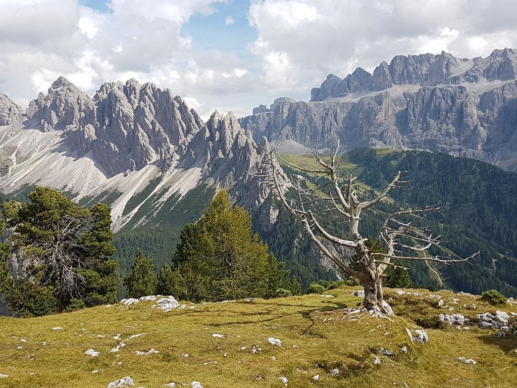 Villa Otto Santa Cristina Val Gardena ภายนอก รูปภาพ
